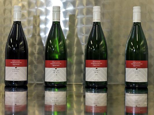 Weinflaschen vor Edelstahltank