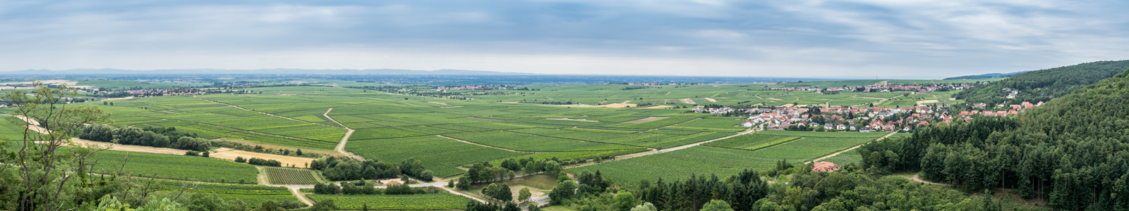 Landschaft mit Weinbergen und Dorf ©K. Ruschmaritsch
